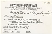 登錄號:B00017505藏品圖，第2張