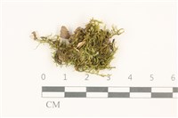 登錄號:B00017505藏品圖，第1張