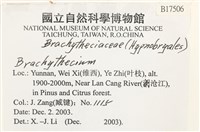 登錄號:B00017506藏品圖，第2張