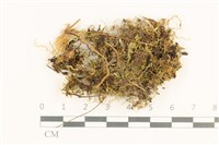 登錄號:B00017506藏品圖，第1張