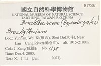 登錄號:B00017507藏品圖，第2張