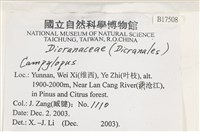登錄號:B00017508藏品圖，第2張