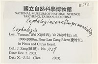 登錄號:B00017511藏品圖，第2張