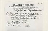 登錄號:B00017514藏品圖，第2張