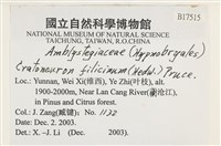 登錄號:B00017515藏品圖，第2張