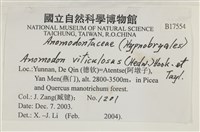 登錄號:B00017554藏品圖，第2張