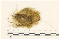 登錄號:B00017555藏品圖，第1張