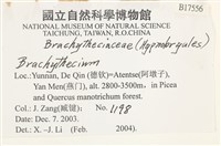 登錄號:B00017556藏品圖，第2張