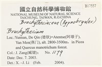 登錄號:B00017557藏品圖，第2張