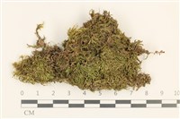 登錄號:B00017557藏品圖，第1張