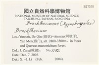 登錄號:B00017558藏品圖，第2張