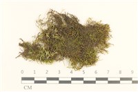 登錄號:B00017558藏品圖，第1張