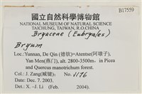 登錄號:B00017559藏品圖，第2張