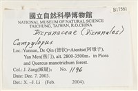 登錄號:B00017561藏品圖，第2張