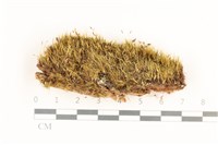 登錄號:B00017561藏品圖，第1張