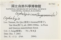 登錄號:B00017563藏品圖，第2張