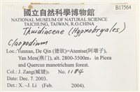 登錄號:B00017564藏品圖，第2張
