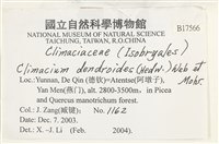 登錄號:B00017566藏品圖，第2張
