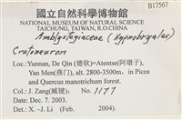 登錄號:B00017567藏品圖，第2張