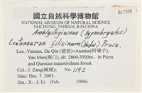 登錄號:B00017568藏品圖，第2張