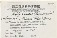 登錄號:B00017569藏品圖，第2張