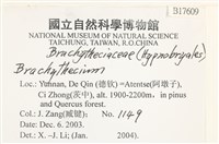登錄號:B00017609藏品圖，第2張