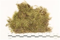 登錄號:B00017609藏品圖，第1張