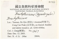 登錄號:B00017620藏品圖，第2張