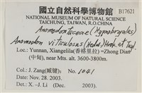 登錄號:B00017621藏品圖，第2張