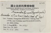 登錄號:B00017622藏品圖，第2張