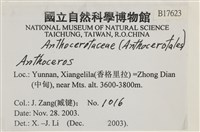 登錄號:B00017623藏品圖，第2張