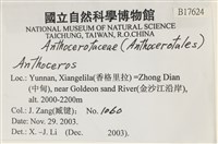 登錄號:B00017624藏品圖，第2張