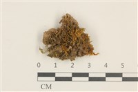 登錄號:B00017624藏品圖，第1張