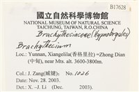 登錄號:B00017628藏品圖，第2張