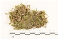 登錄號:B00017630藏品圖，第1張