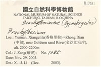 登錄號:B00017631藏品圖，第2張