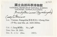 登錄號:B00017633藏品圖，第2張