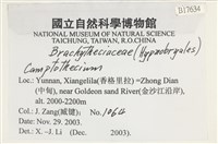 登錄號:B00017634藏品圖，第2張