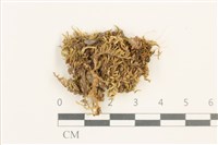 登錄號:B00017634藏品圖，第1張