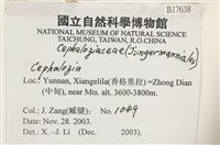 登錄號:B00017638藏品圖，第2張