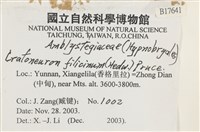 登錄號:B00017641藏品圖，第2張