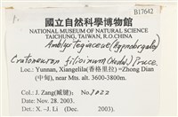 登錄號:B00017642藏品圖，第2張