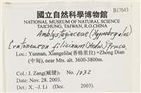 登錄號:B00017643藏品圖，第2張