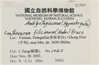 登錄號:B00017644藏品圖，第2張