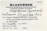 登錄號:B00017645藏品圖，第2張