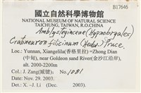 登錄號:B00017646藏品圖，第2張