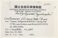 登錄號:B00017647藏品圖，第2張