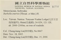 登錄號:B00017710藏品圖，第2張