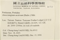 登錄號:B00017715藏品圖，第2張
