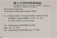 大灰氣蘚藏品圖，第2張